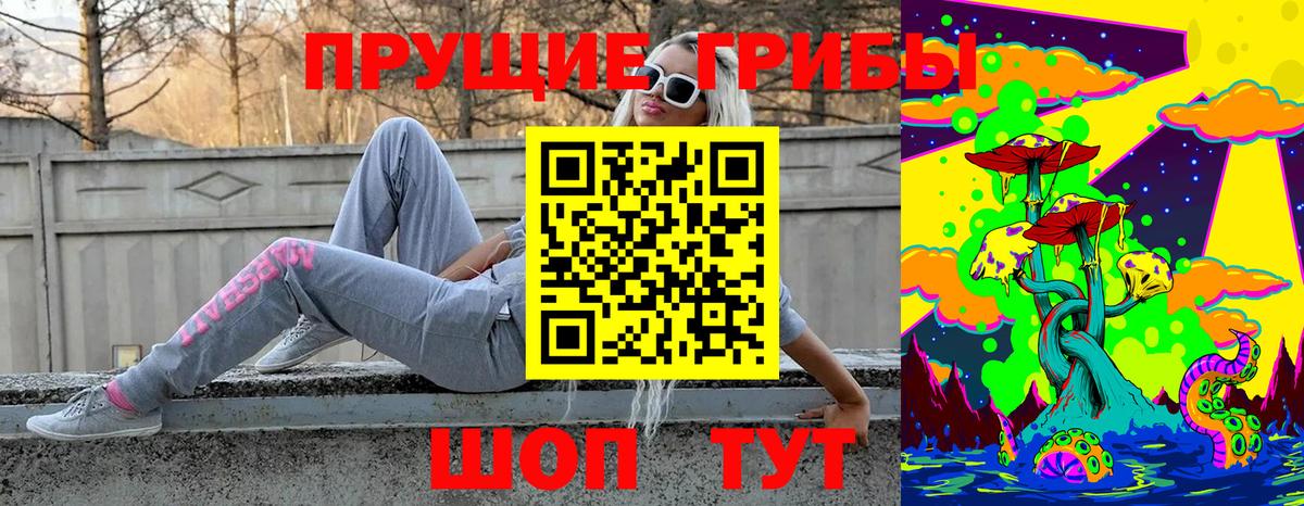 Псилоцибиновые грибы мицелий  Вход с VPN  Гусиноозёрск  Галлюциногенные грибы мицелий 